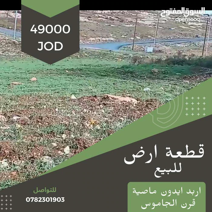 أرض في ارض للبيع في إربد - قرن الجاموس خلف مدرسة حفصة بنت عمر الأساسية المختلطة مساحة 666 متر مربع من المالك مباشرة - 49,000 دأ - صورة 1